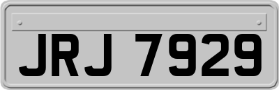 JRJ7929