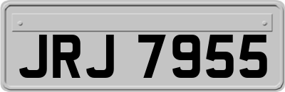JRJ7955