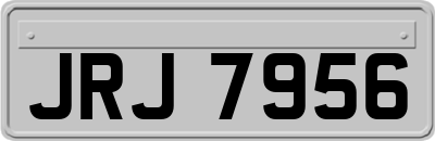 JRJ7956