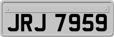 JRJ7959