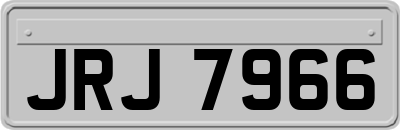 JRJ7966