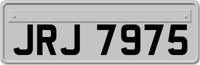 JRJ7975