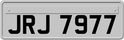 JRJ7977