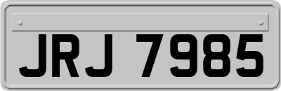 JRJ7985