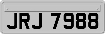 JRJ7988