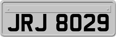 JRJ8029