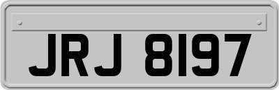 JRJ8197