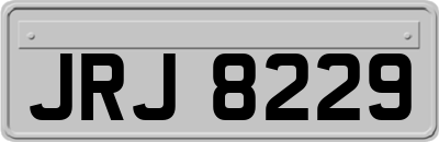JRJ8229