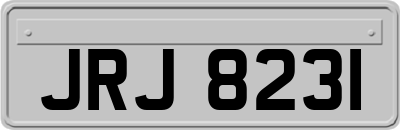 JRJ8231