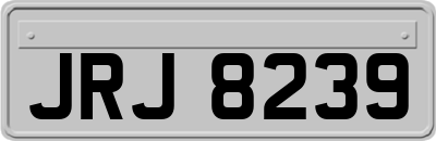 JRJ8239