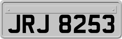 JRJ8253