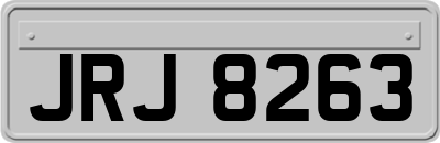 JRJ8263