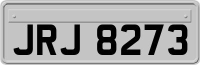 JRJ8273