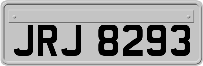 JRJ8293