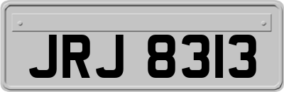 JRJ8313