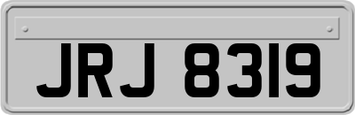 JRJ8319