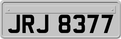 JRJ8377