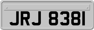 JRJ8381