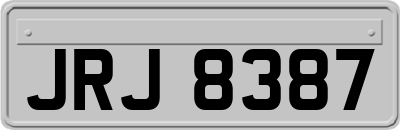 JRJ8387