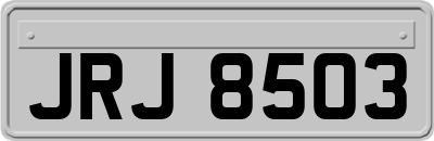 JRJ8503