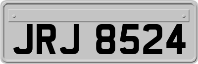 JRJ8524