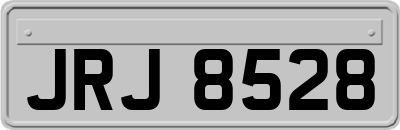JRJ8528