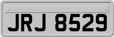 JRJ8529