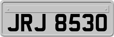 JRJ8530