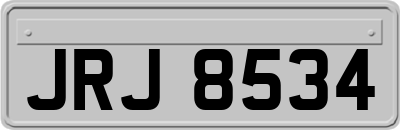 JRJ8534