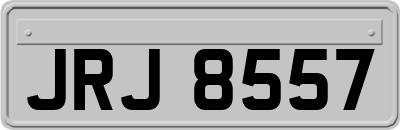 JRJ8557