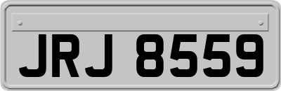 JRJ8559