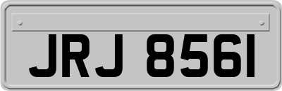 JRJ8561