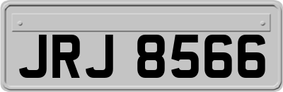 JRJ8566