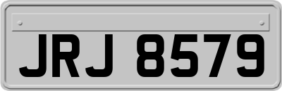 JRJ8579