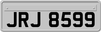 JRJ8599