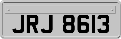 JRJ8613