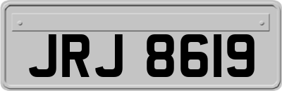 JRJ8619