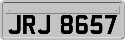 JRJ8657