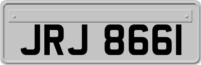 JRJ8661