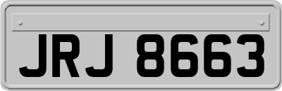 JRJ8663