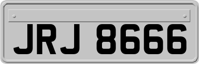 JRJ8666