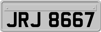 JRJ8667