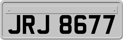 JRJ8677