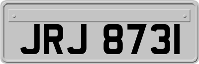JRJ8731