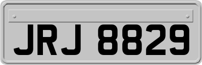 JRJ8829