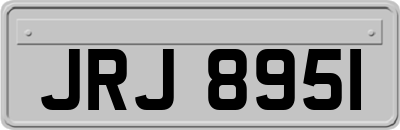 JRJ8951