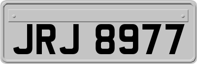 JRJ8977