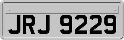 JRJ9229