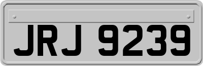JRJ9239