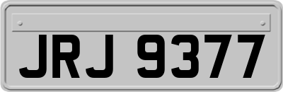JRJ9377